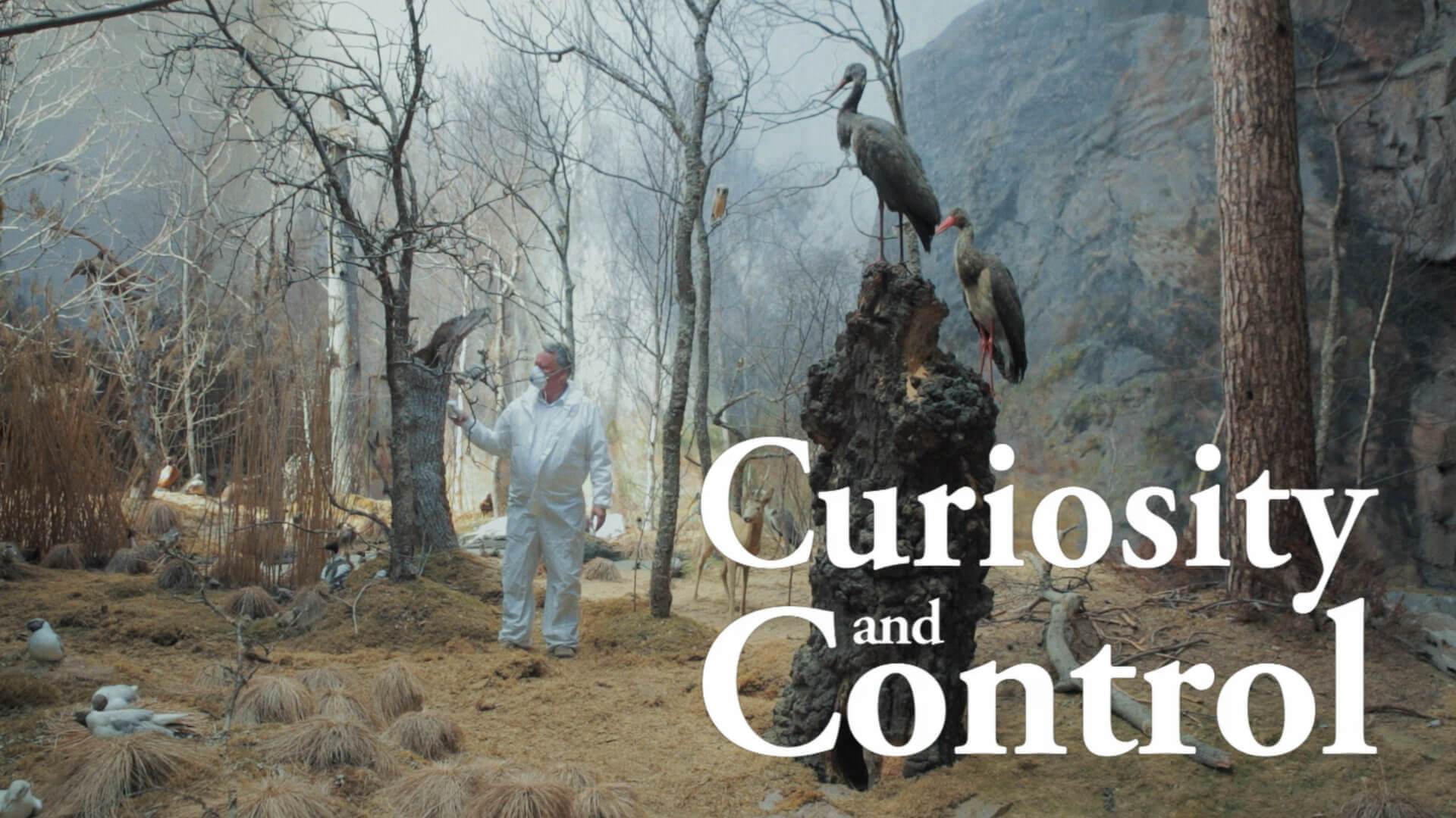 Curiosity and Control | poster HorizontalMini